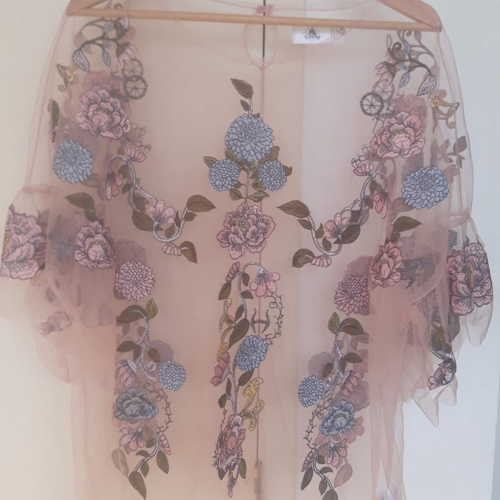 Disney sheer pink embroidered top